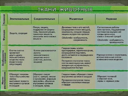 Заполните таблицу ткани организма человека