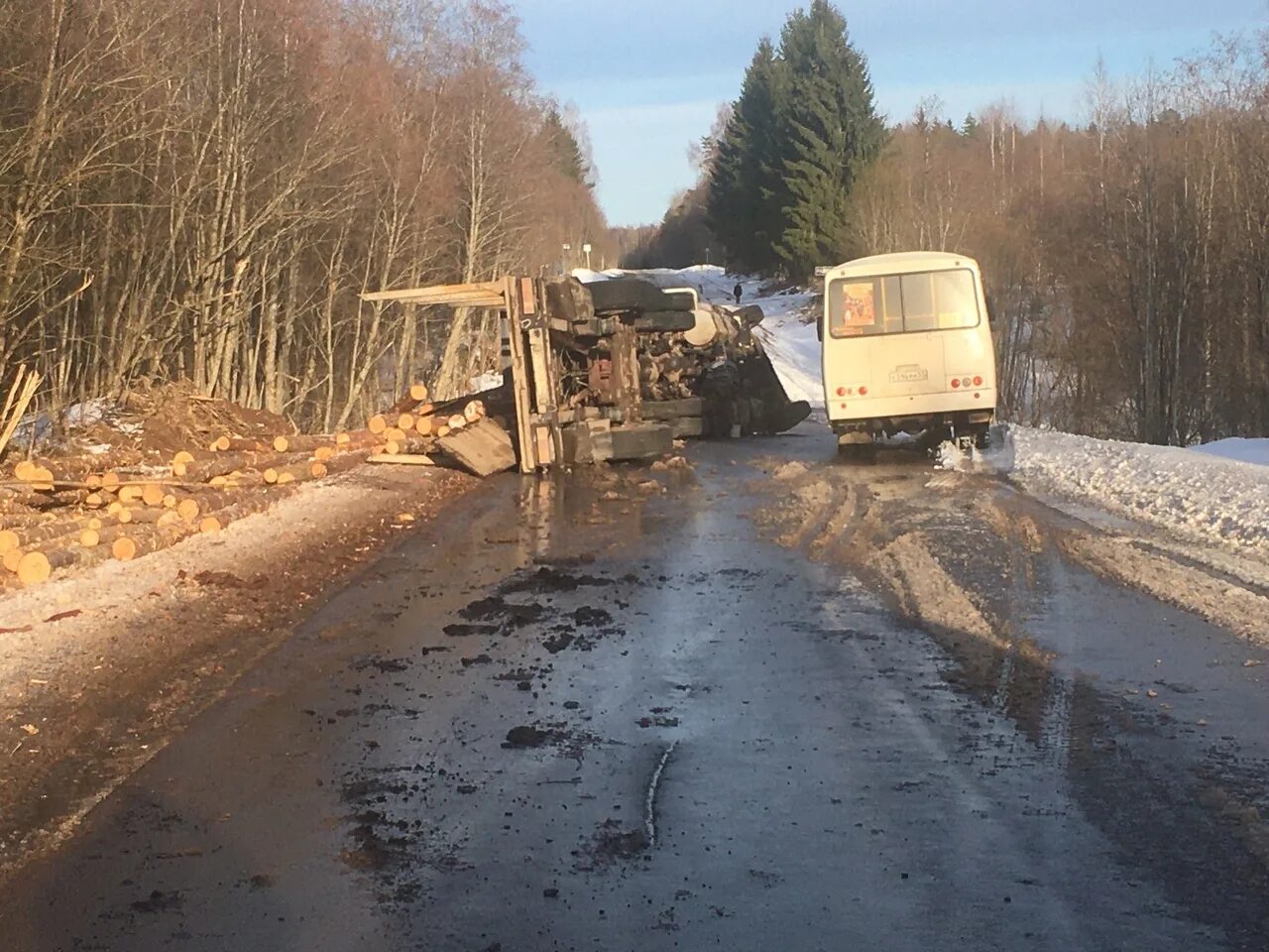 Чп новгородская область. Новоселицы Папоротно. ДТП Папоротно Новоселицы. Папоротно Новгородская область. ДТП Великий Устюг лесовоз.