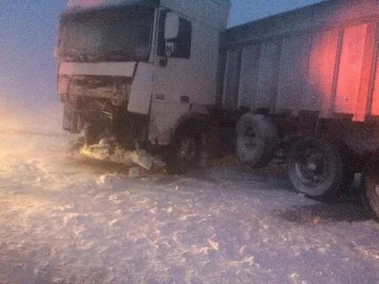 Шипуново алейск