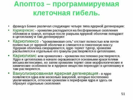 Запрограммированная гибель клетки