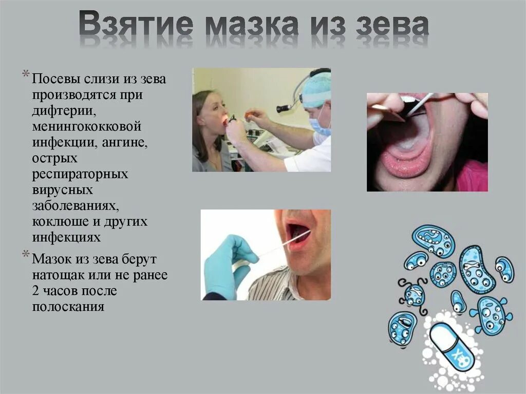Алгоритм взятия мазка. Лабораторная посуда для взятия мазка из зева и носа. методика забора мазков из носа и зева.  взятие мазка из зева носа на бак исследование. техника взятия мазка зева и носоглотки.