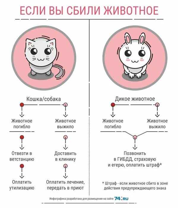 Сбить животное примета. Сбить животное примета. Приметы прикол. Сбить животное примета. Сбить животное примета.