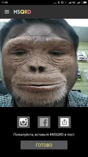 Msqrd