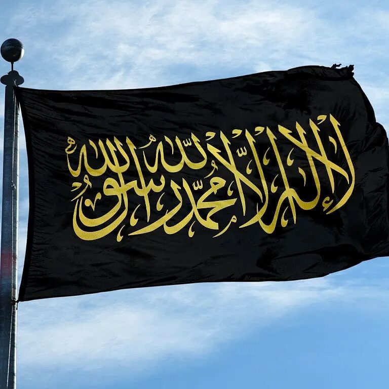 Омейядский халифат флаг. Флаг арабского халифата. Флаг халифата. Багдадский халифат фла. Флаг халифата.