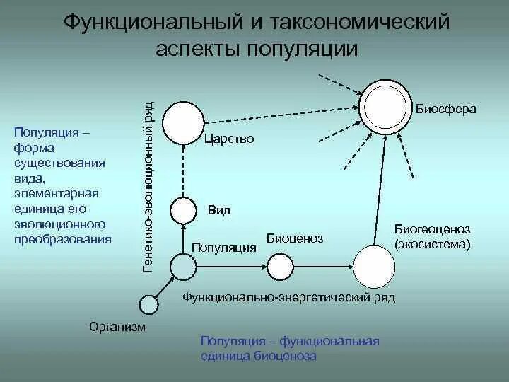 Почему популяцию называют формой существования