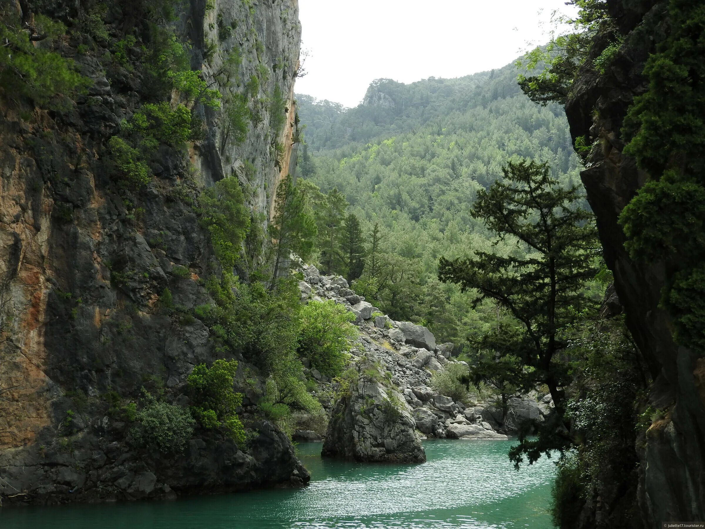 зеленые ущелье
