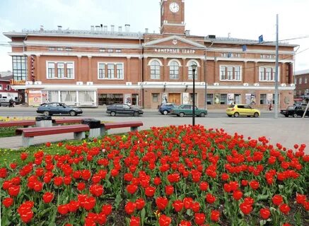 Цветной череповец