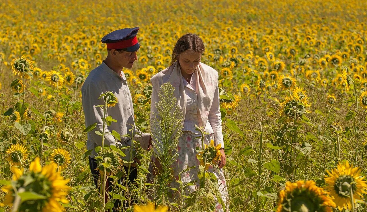 тихий дон сенокос. луговой покос тихий дон. тихий дон 2015 покос. луговой покос тихий дон. тихий дон 2015.