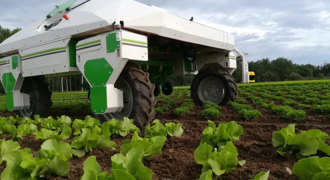 Ии в сельском хозяйстве. Agrobot sw6010. Робот Hortibot. Роботы в сельском хозяйстве. Робототехника в сельском хозяйстве.