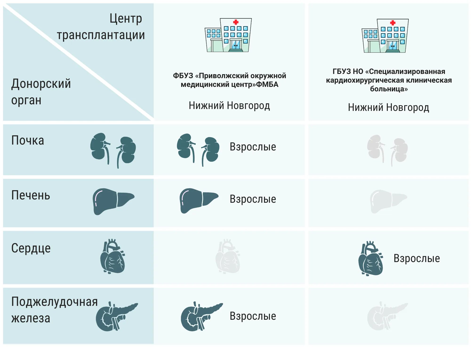 Донор почки за деньги. Трансплантология органов. Классификация доноров органов. Донорство органов и трансплантация.