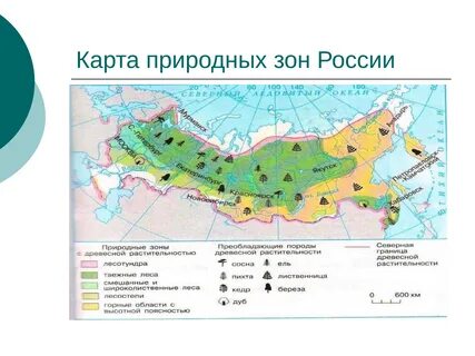 Карта природных зон 8 класс география