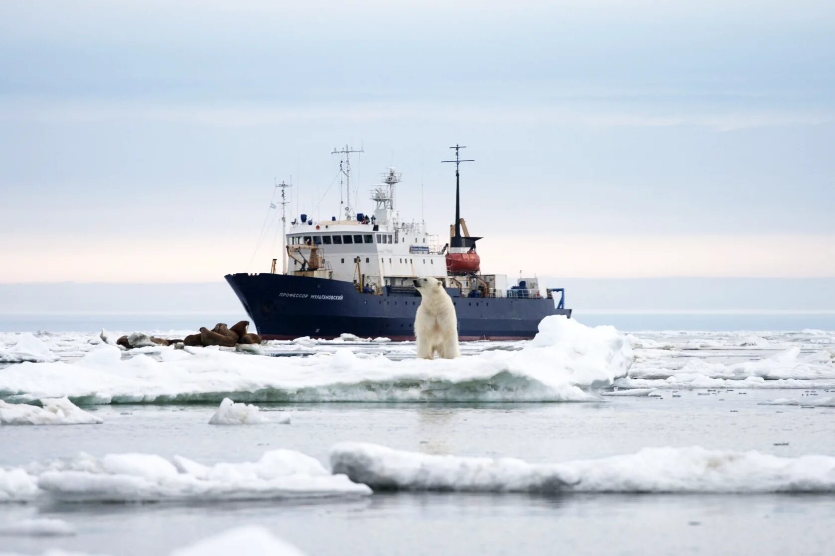 Карское море. НИС профессор Мультановский. Ямал Карское море. Баренцево море Ямал. Карские экспедиции