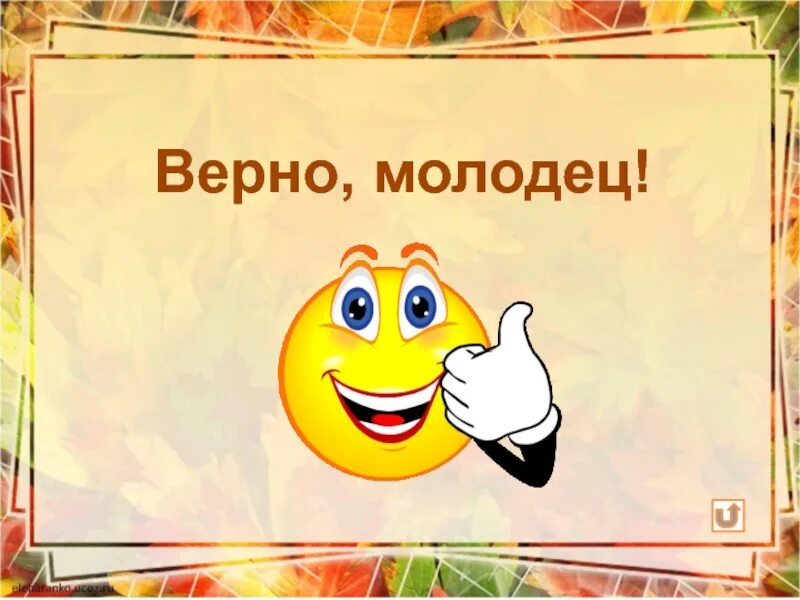 Сильный молодец. Верно молодец. Картинка верно. Верно ты молодец. Молодцы для презентации.