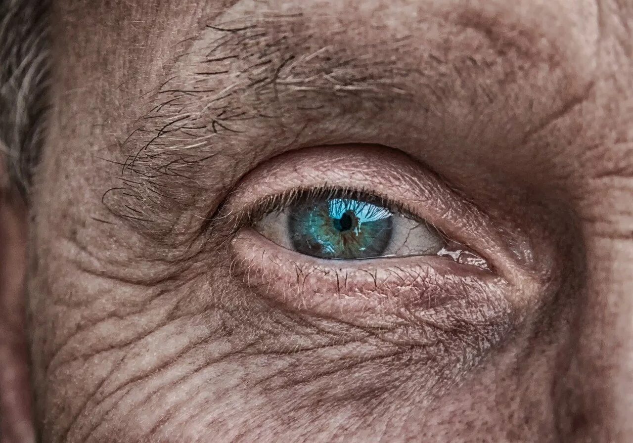 Глаза пожилого человека.