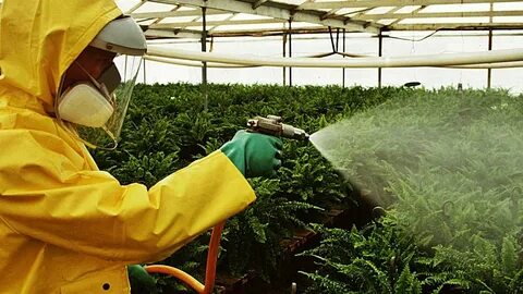 Plant protection