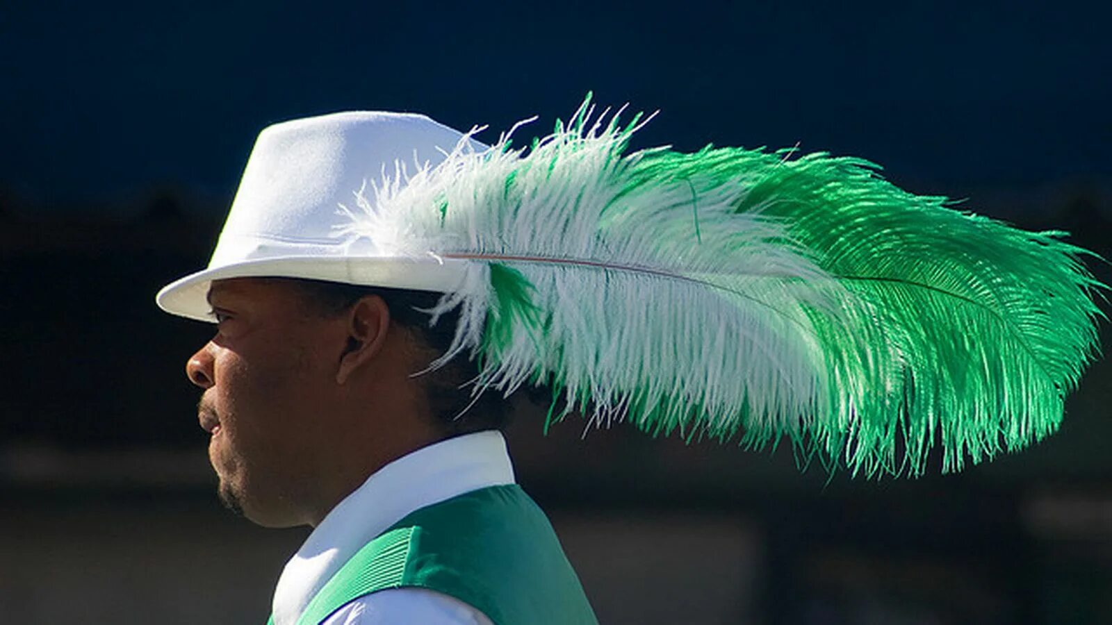 Feathering his own. A Feather in one's cap. Feather in the cap. Feather in one's hat. A Feather in your cap.
