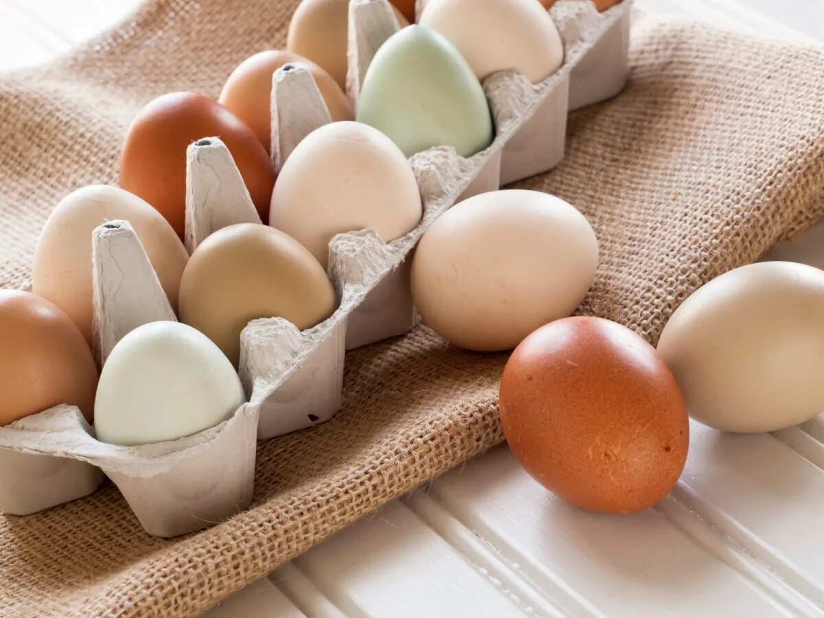 Яйца лучше купить. Яйцо. Яйцо куриное. Яйцо картинка. Яйцо куриное белое.