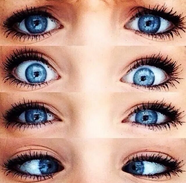 Глаза сравнение. Синий цвет глаз. Разновидности голубых глаз. Оттенки голубых глаз. Оттенки голубого цвета глаз.