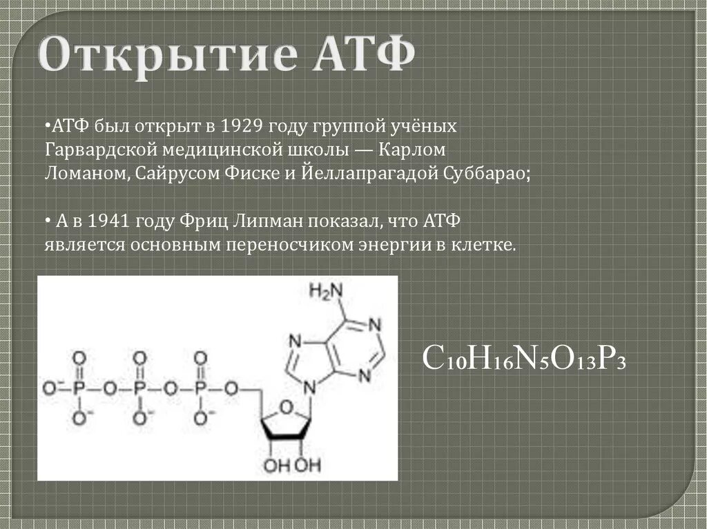 Атф восстанавливается. Аденозинтрифосфорная кислота функции. Функции аденозинтрифосфорной кислоты. Функции молекулы АТФ. Химическая структура АТФ.