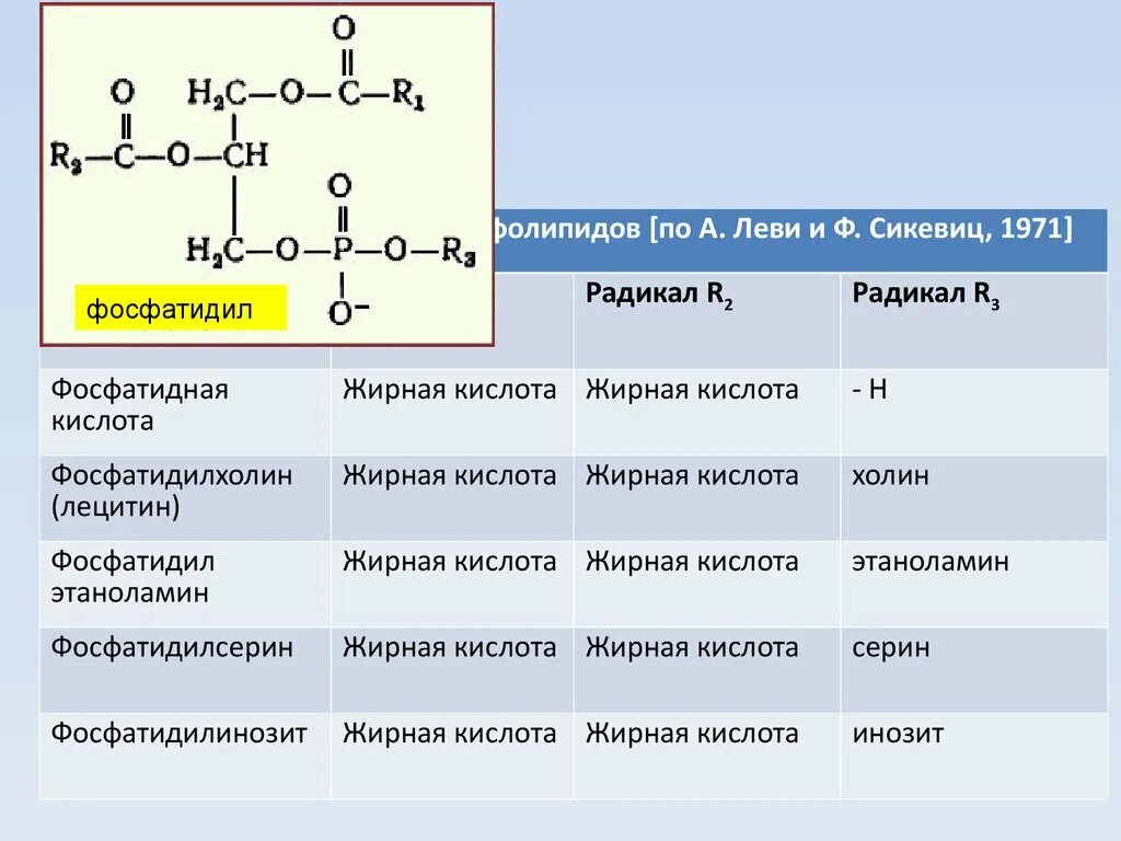 Классификация омыляемых липидов. Фосфатидная кислота с радикалом. Омыляемые липиды формулы. Фосфолипиды строение радикалы.