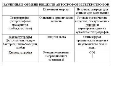 Фотосинтез вставить пропущенные слова