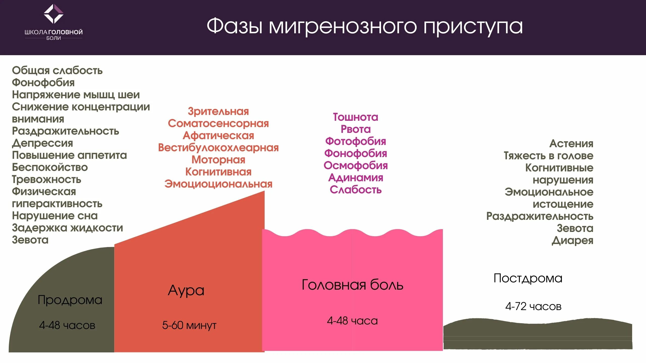 Мигрень у мужчин симптомы и лечение. Мигрень психосоматика. Психосоматика мигрень головная боль. Фазы мигрени. Причины мигрени у женщин.