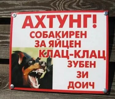 Злюкен собакен яйцен клац клац