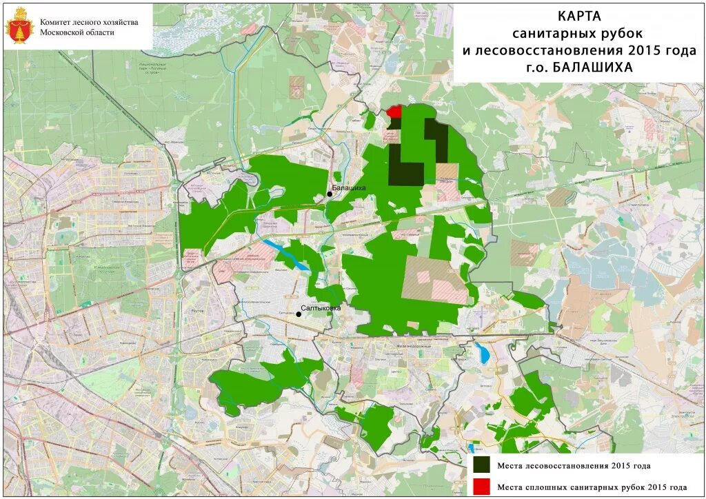 Балашиха городской транспорт. Городской округ Балашиха на карте Московской области. Экологическая карта Балашихи. Городской округ Балашиха карта границы. Карта леса Балашихи.