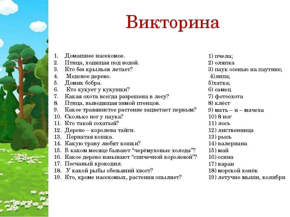 Тест 10 11 лет. Вопросы для викторины. Вопросы для детей. Вопросы для викторины с ответами для детей.