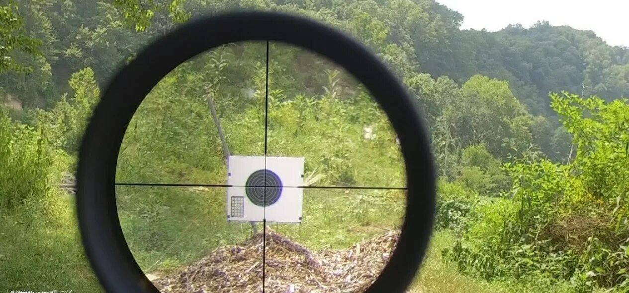 Current scope. Picture in picture прицел. Scope. Zeroing scope. Enclosing scope.