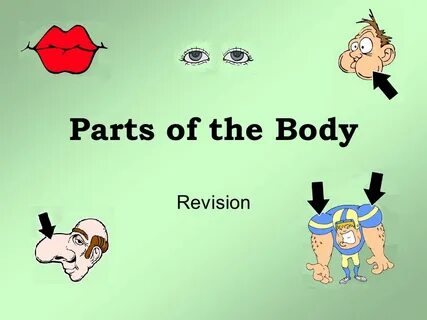 Body song