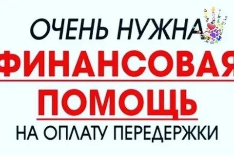 Попросить финансовую помощь богатых