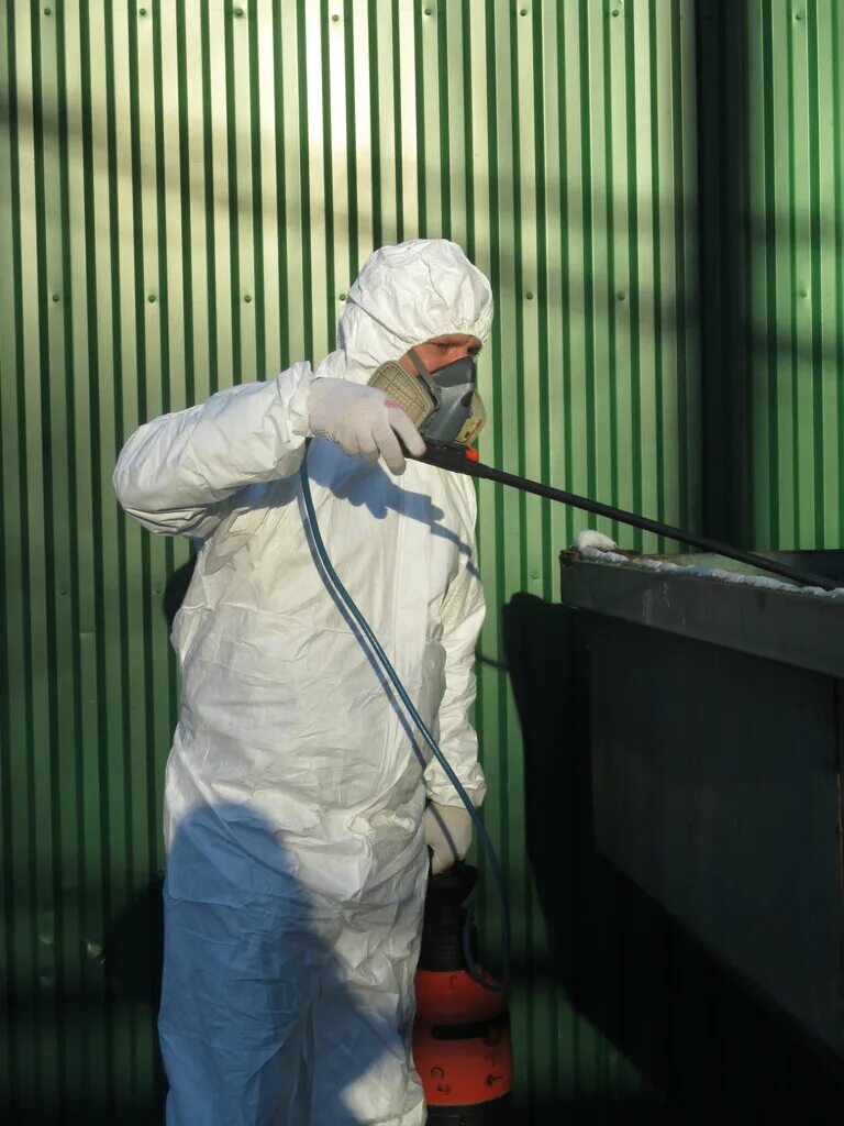 дезинфекция от грызунов. уничтожение грызунов дератизация. дезинфекция от грызунов.