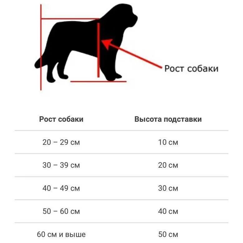 Как правильно подобрать собаку. Рост и вес щенка немецкой овчарки. Лабрадор ретривер рост в холке. Рост щенка лабрадора по месяцам таблица. Вес лабрадора в 3 месяца таблица щенка лабрадора.