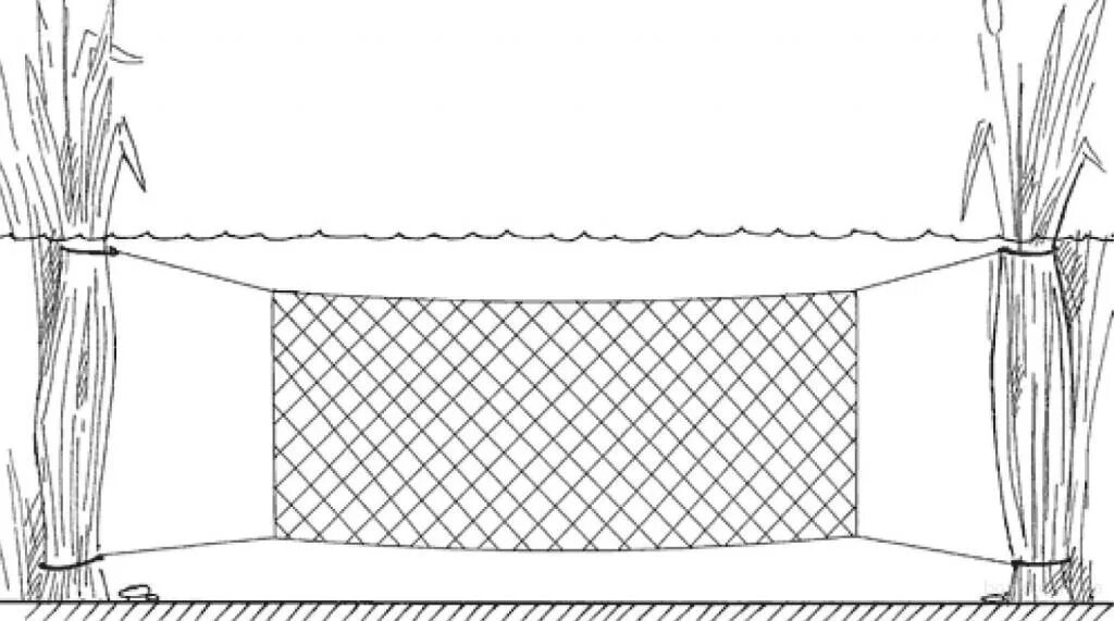 Можно ли ставить сети. Сеть дорожка рыболовная. Сетка экран для рыбалки. Экран для ловли рыбы. Сетка дорожка рыболовная.