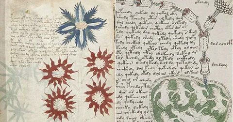 Рукопись войнича неизвестен книга