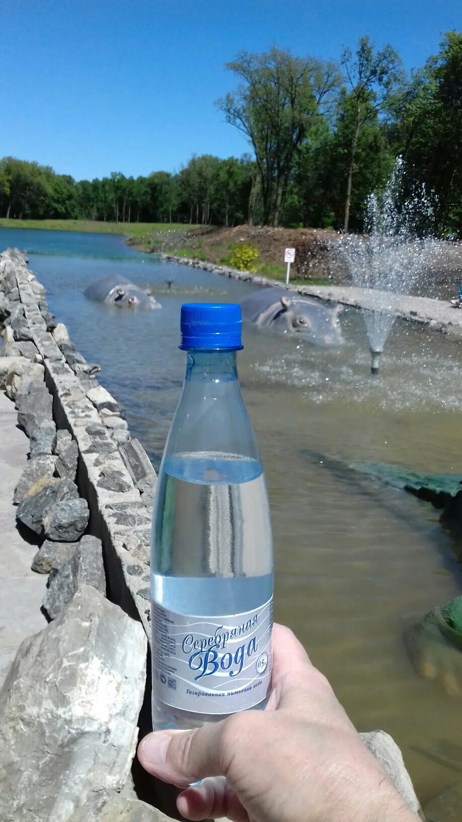 Вода выходит обратно. Уфимская минеральная вода. Минеральная вода с серебром. Серебристая вода. Серебро в воде.