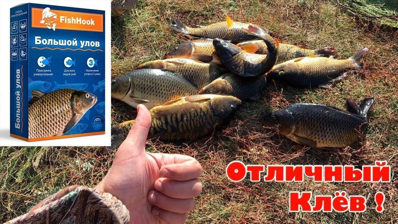 Fishhook активатор клева. Активатор клева Fish hungry. Большой улов Fishhook. Стимулятор клева рыбы. Клев рыбы в гродно