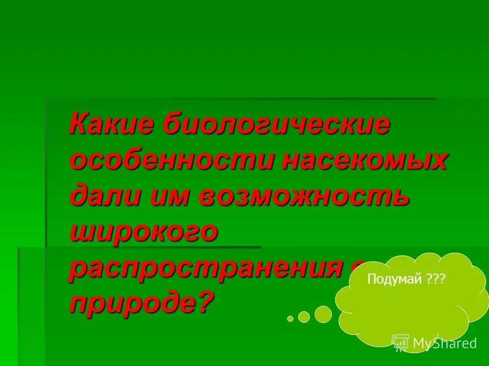 Презентация на тему многообразие насекомых. Что позволило насекомым широко распространиться на земле. Как вы думаете что будет если исчезнут все насекомые. Что позволило насекомым широко распространиться на земле. Медведка презентация.