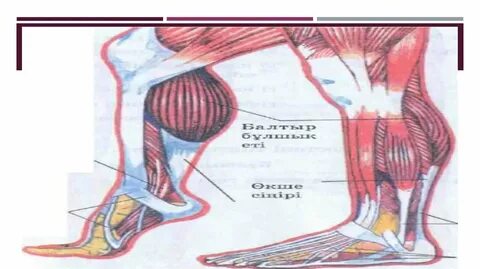 Қыздармен шынайы секс