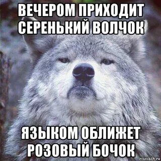 Серенький волчок и утащит за бочок