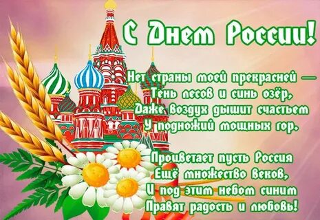 Сегодня 12 день