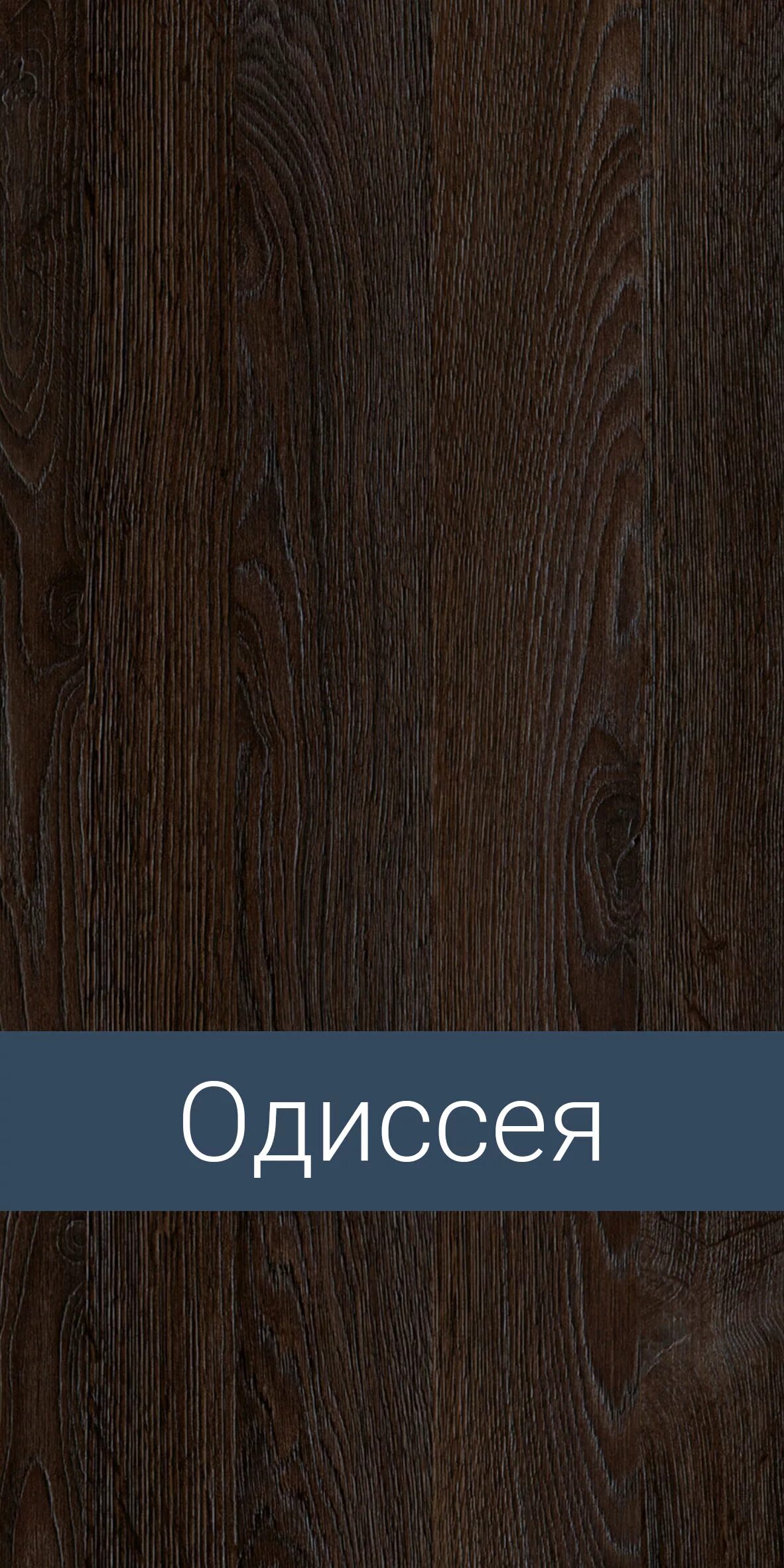 Одиссея книга с иллюстрациями. Odissea отзывы. Odissea отзывы. Odissea отзывы. Лдсп одиссея ламарти.