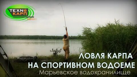Фишинг карп
