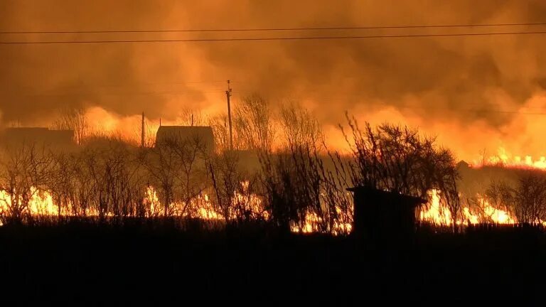 Лес замолкает и в зареве егэ