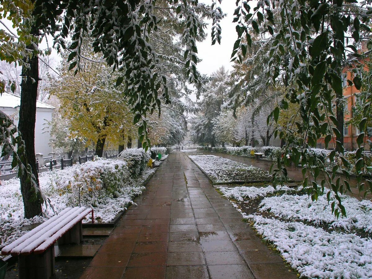 Первый снег картинки. Первый снег в городе. Снежная осень в городе. Осень зима город. Поздняя осень в городе.