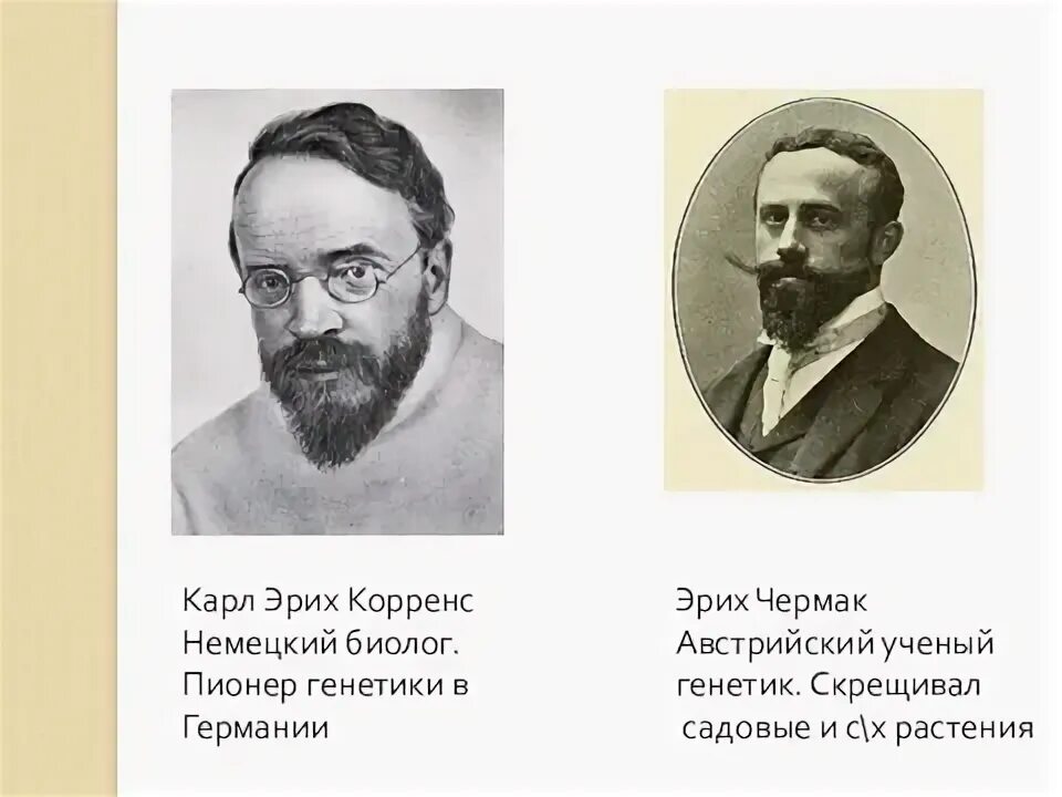 Де фриз корренс чермак