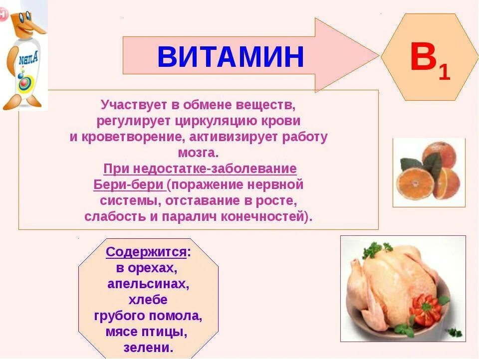 Витамин группы б для организма. Роль витамина b1. Витамин в1 кратко. Витамин в5 в2 в1 витамины группы. Функции витамина б1.