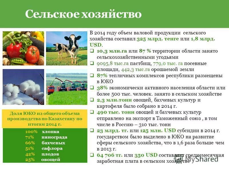 Апк казахстана. Особенности хозяйства казахстана. Агропромышленный комплекс казахстана. Хозяйство казахстана. Растениеводство казахстана.