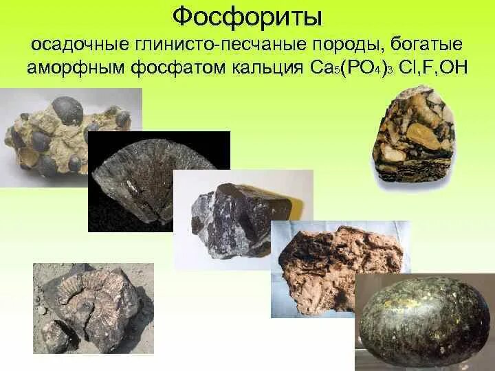 Минералы магнетит Фосфорит. Фосфориты полезное ископаемое. Фосфорит руда. Фосфорит осадочные горные породы. Осадочные горючие